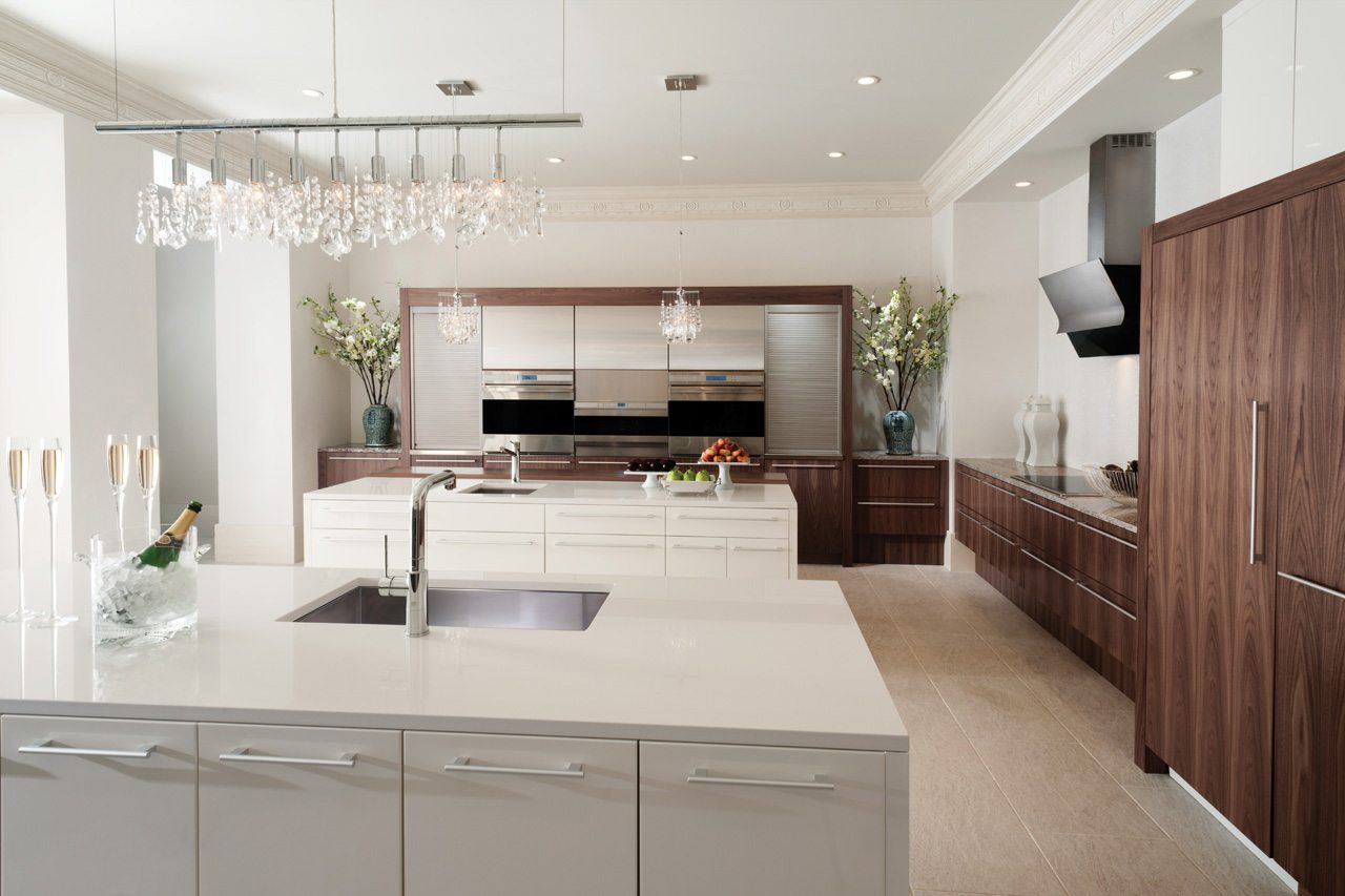 Sophisticated Modern Kitchen